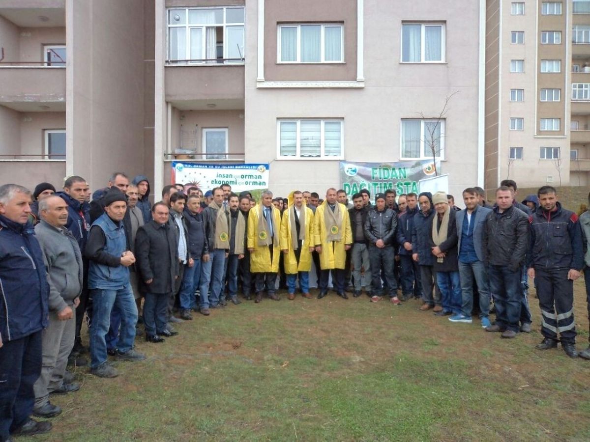 Edremit\'te Fidan Dikimi