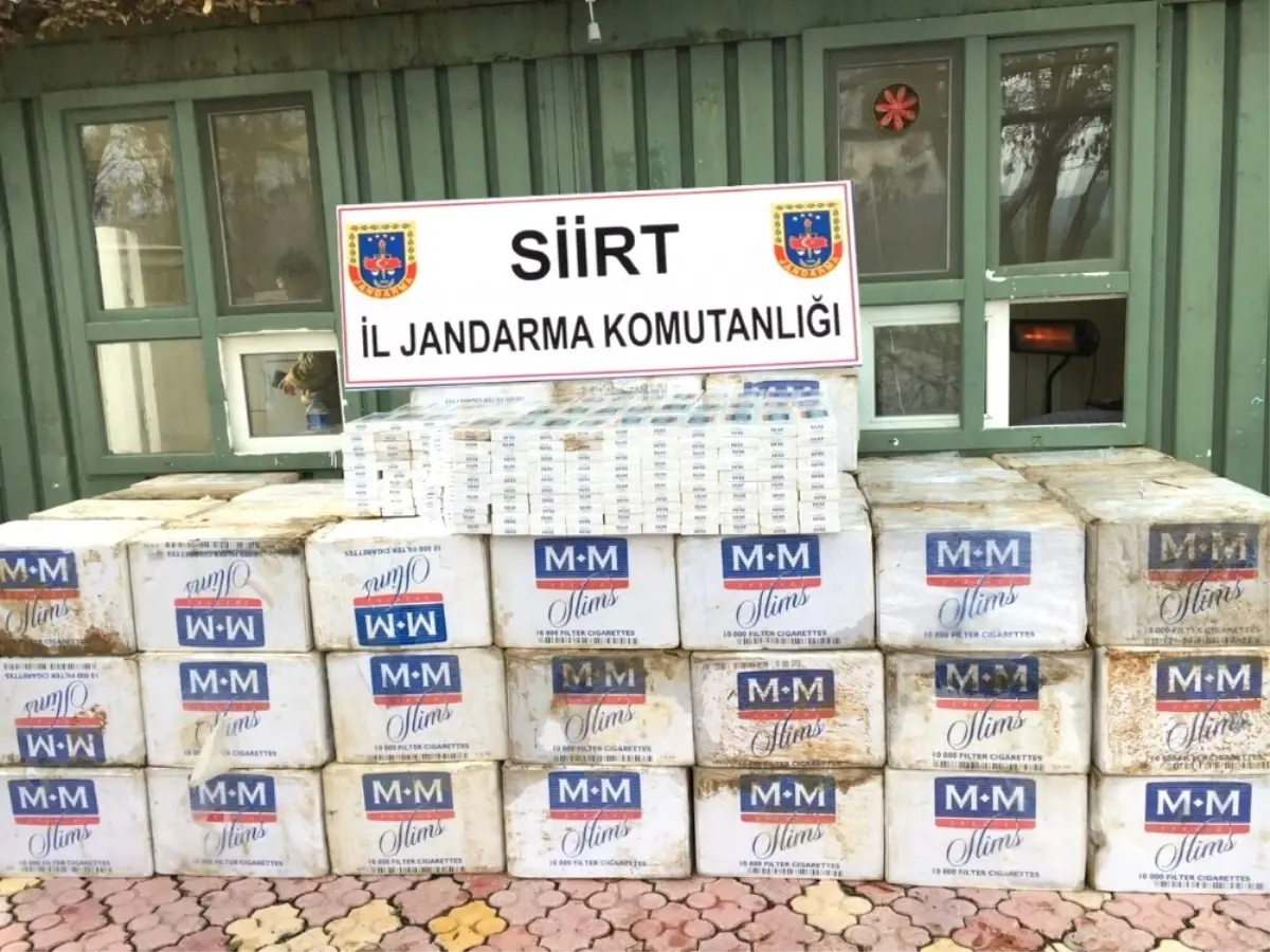 Siirt\'te 66 Bin Paket Kaçak Sigara Ele Geçirildi