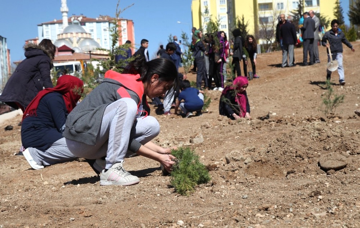 Elazığ\'da Belediyesinden Fidan Dikme Etkinliği