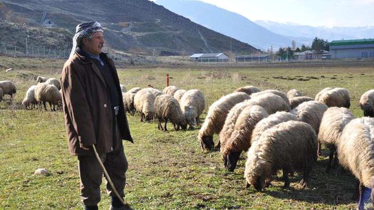 Muş\'ta Havaların Isınması
