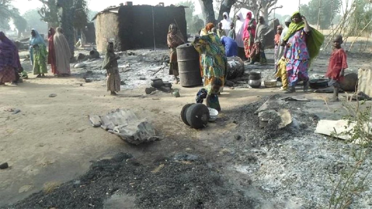 Nijerya\'da Kahraman Köpek Canlı Bombanın Üstüne Atlayarak Katliamı Önledi