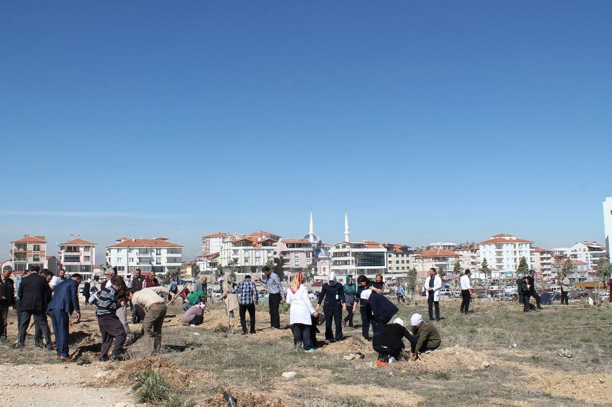 Sağlık Çalışanları ile Hastalar, Hastane Bahçesine 900 Fidan Dikti