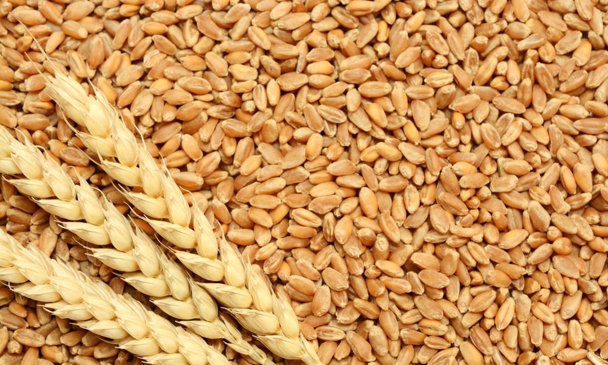 Tokat Ticaret Borsası