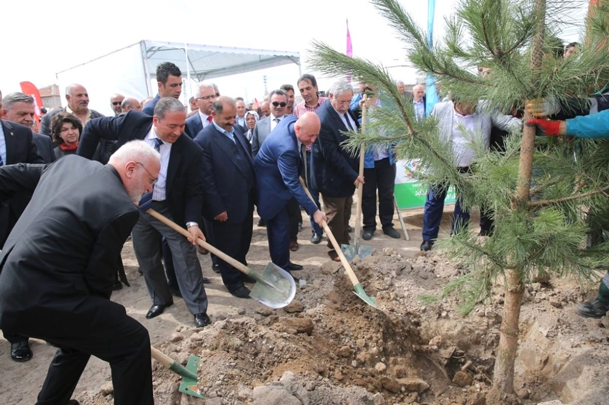 Başkan Çolakbayrakdar, "Boztepe\'yi Yeşertiyoruz"