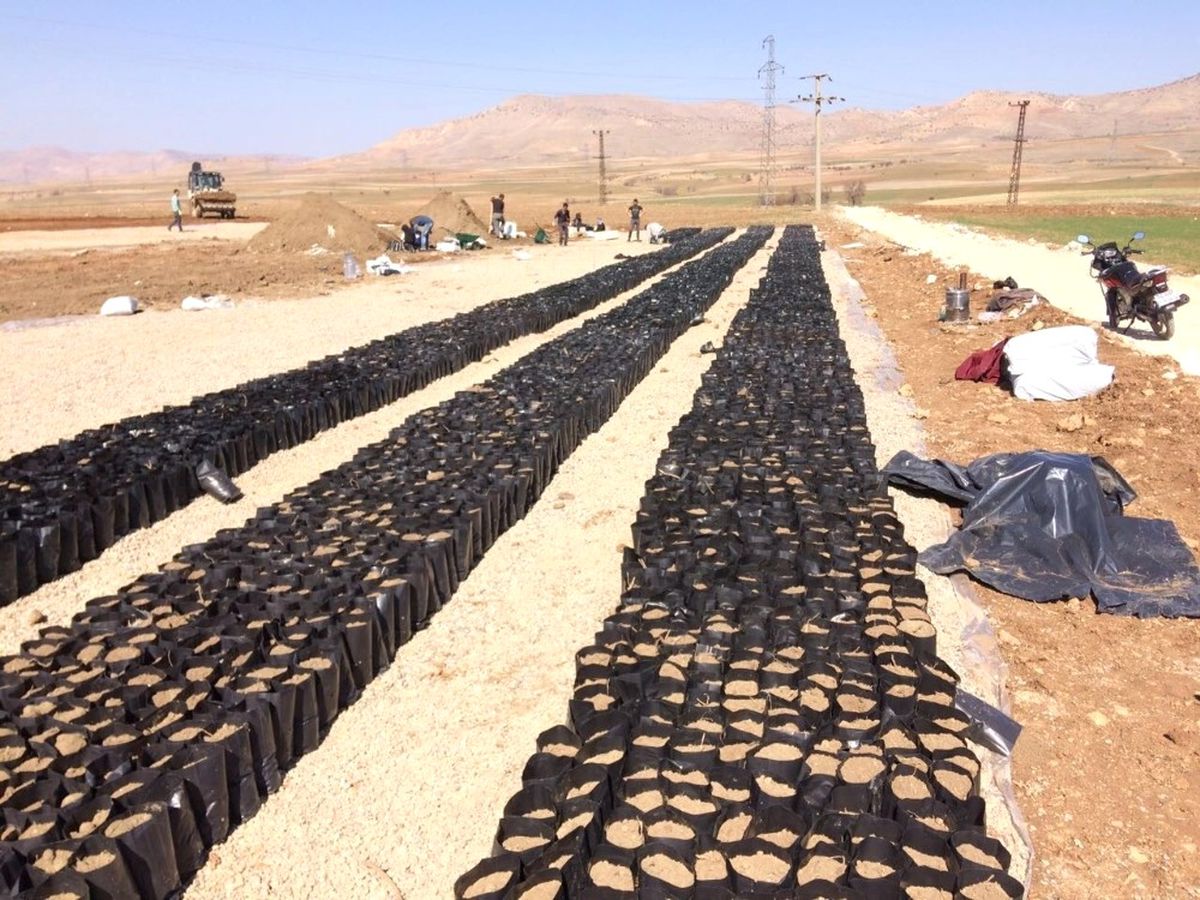 Gercüş\'te Çiftçi Eğitim Çiftliği İnşaatına Başlandı