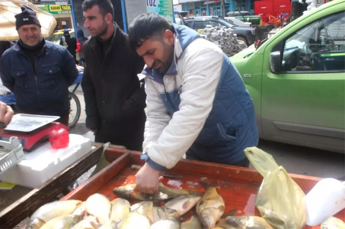 Ağrı\'da Vatandaşla Balığa Yoğun İlgi Gösteriyor