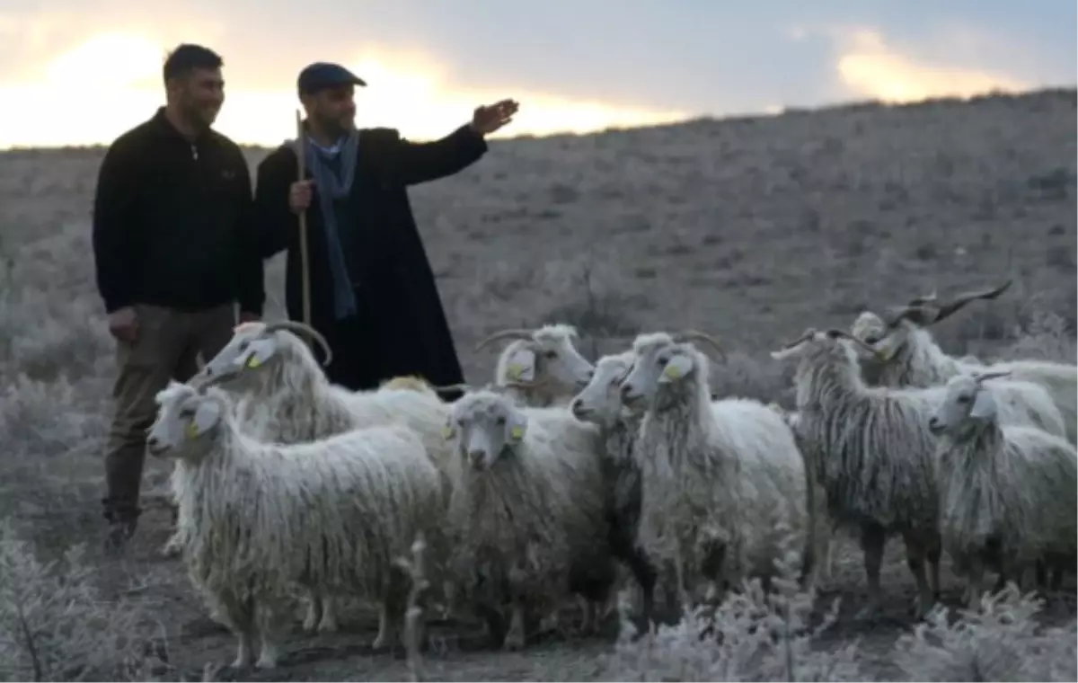 Çobanlığın Yok Olmasını Önleyeceğiz\'