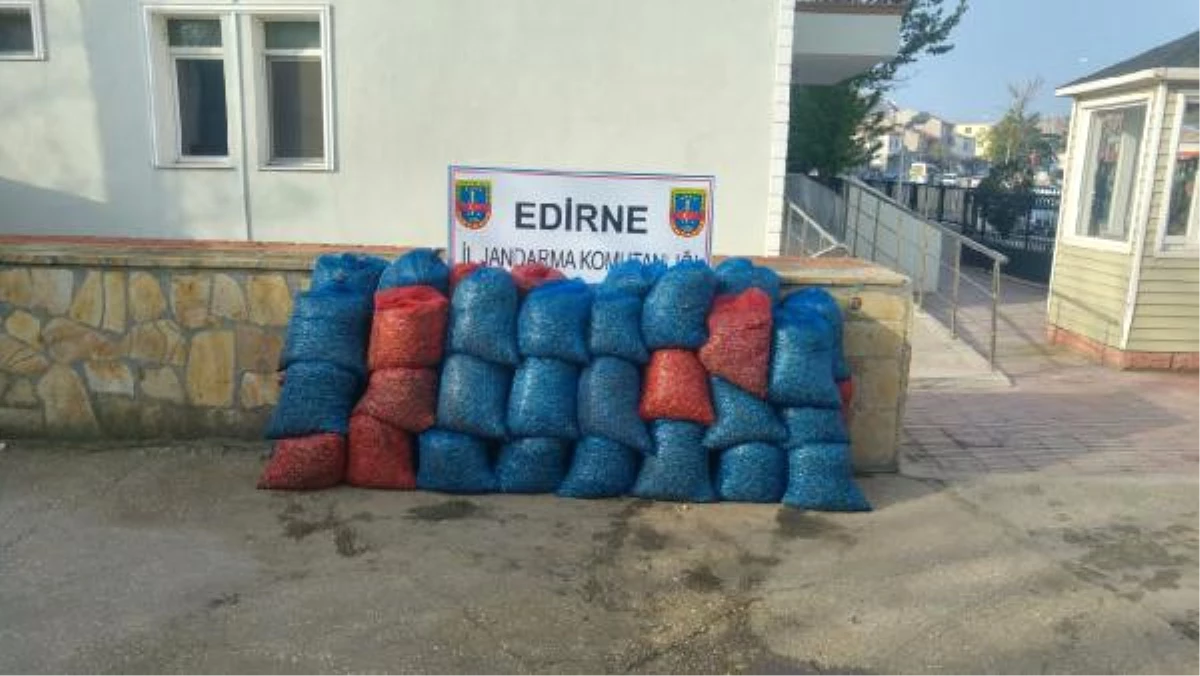 Enez\'de 1 Ton 200 Kilo Kaçak Midye Ele Geçti