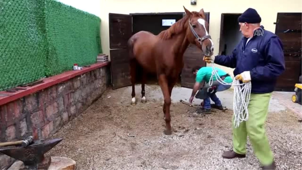 Güzel Atlar Ülkesi"Nin Nalbantı