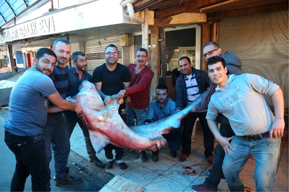 Mersin\'de 5 Metre Boyunda Köpek Balığı Yakalandı