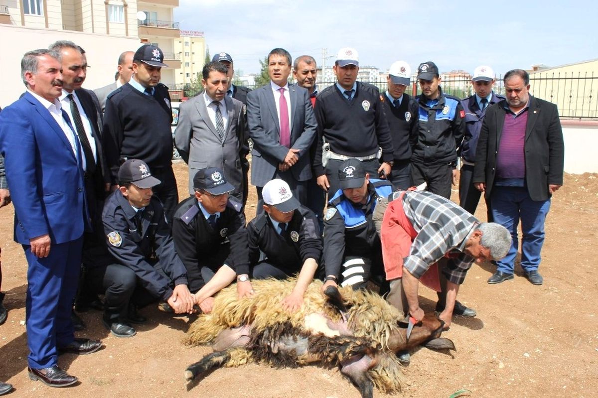 Polis Kazalara Karşı Kurban Kesti