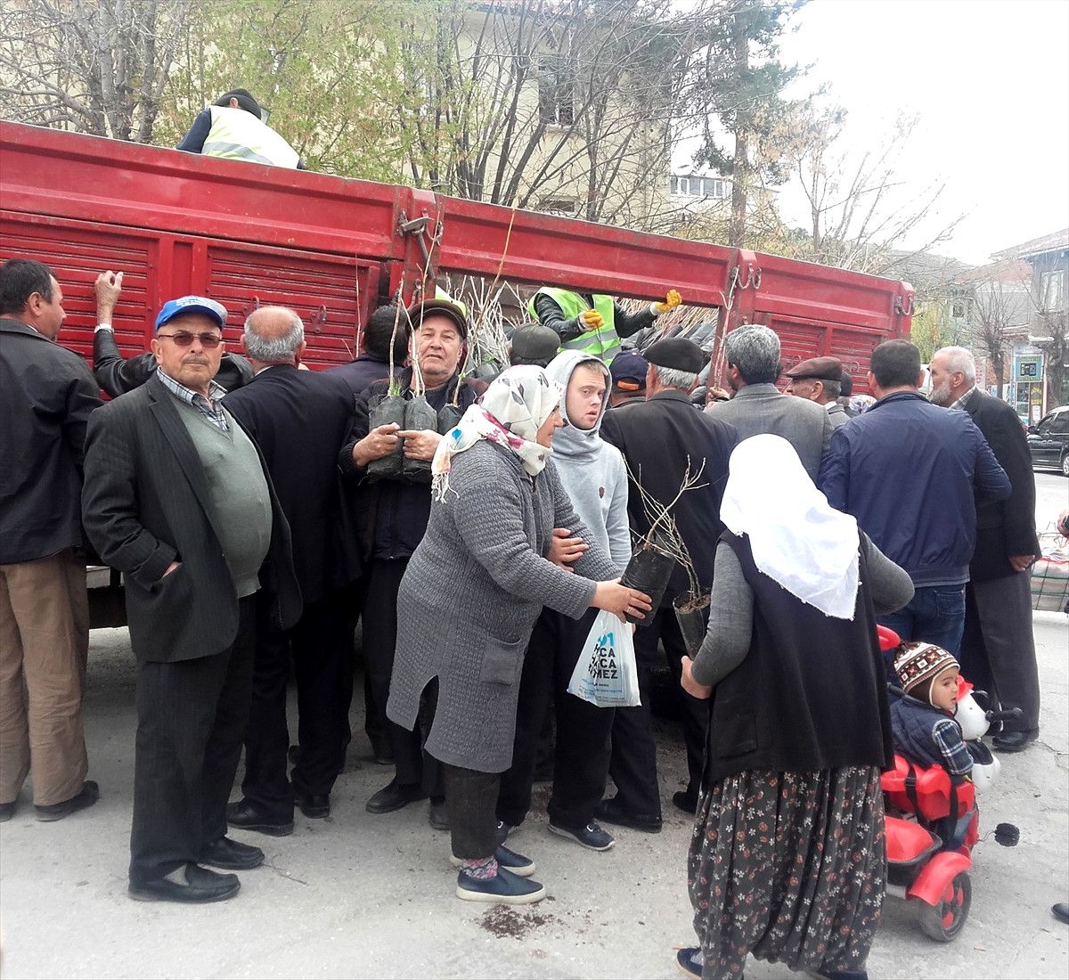 Sivrihisar\'da Fidan Dağıtımı