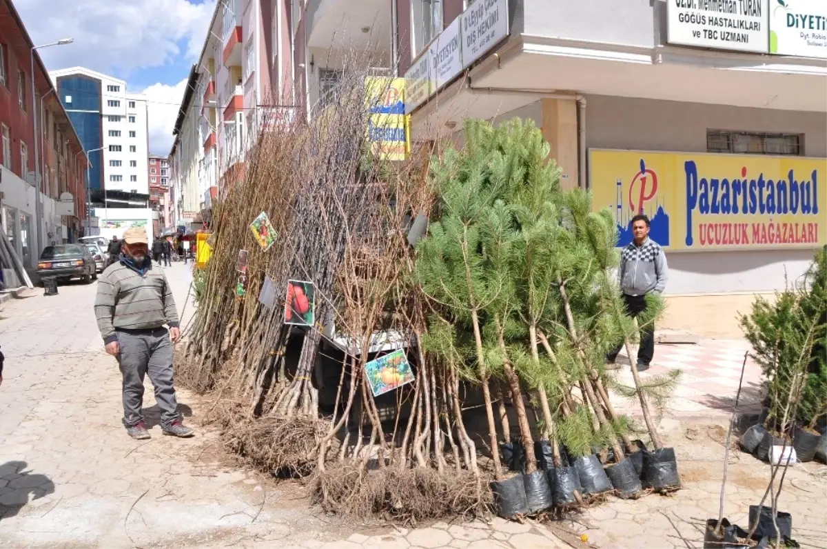 Sorgun\'da Fidan Satışları Başladı