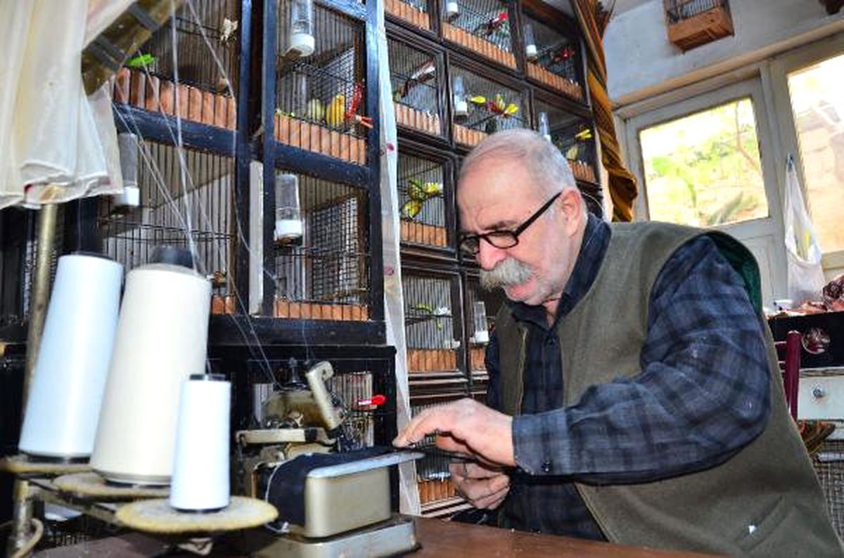 Terzinin Kuş Sevgisi