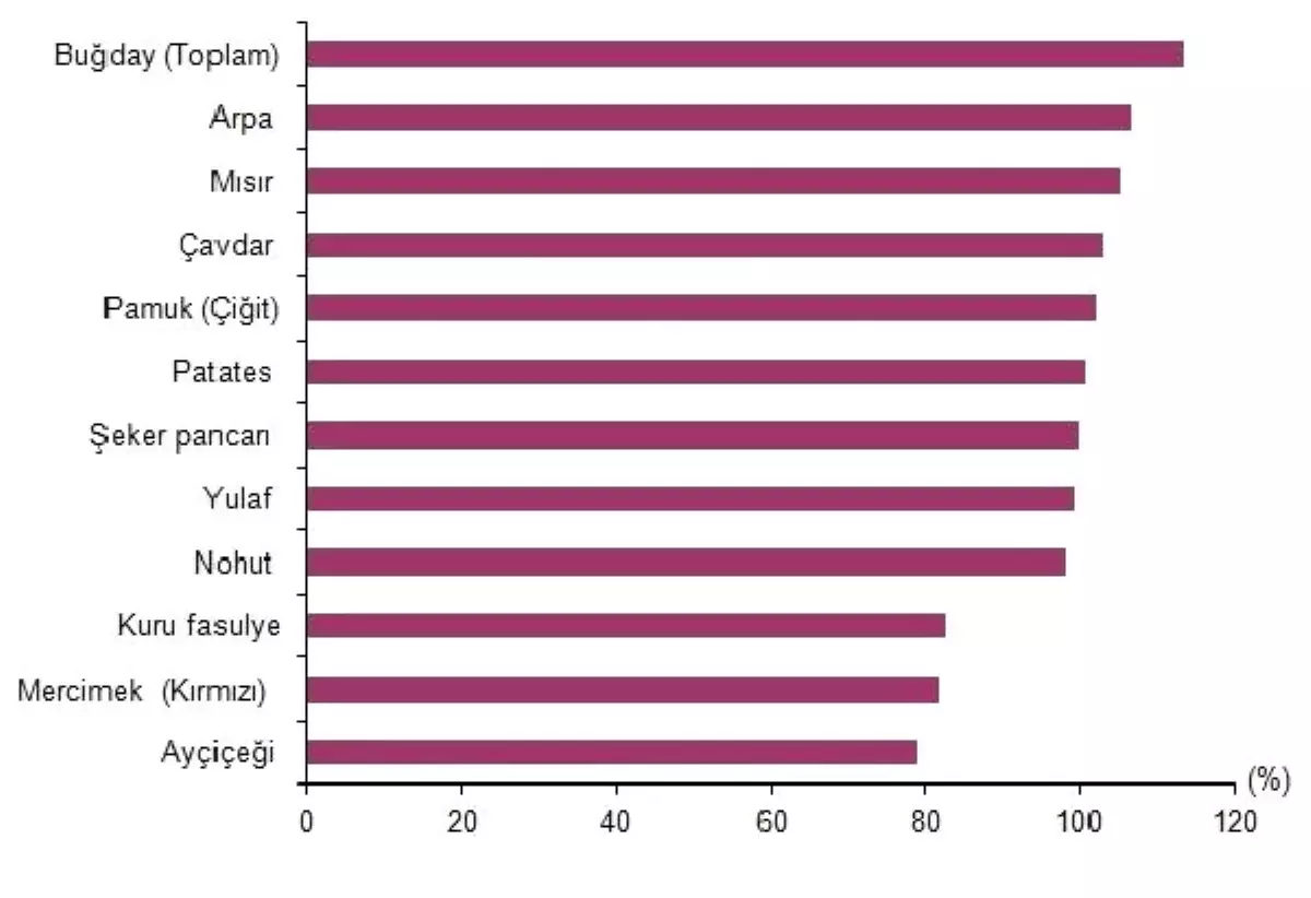 Türkiye\'de Kişi Başına Yıllık Tahıl Tüketimi Yüzde 10 Düştü