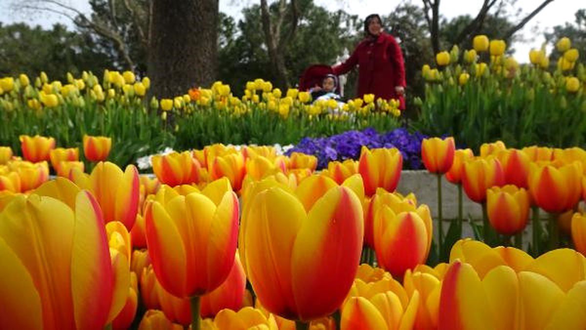 Çiçek Açan Park ve Tesisler \'Mutluluk Fotoğraflarının\' Adresi Oldu