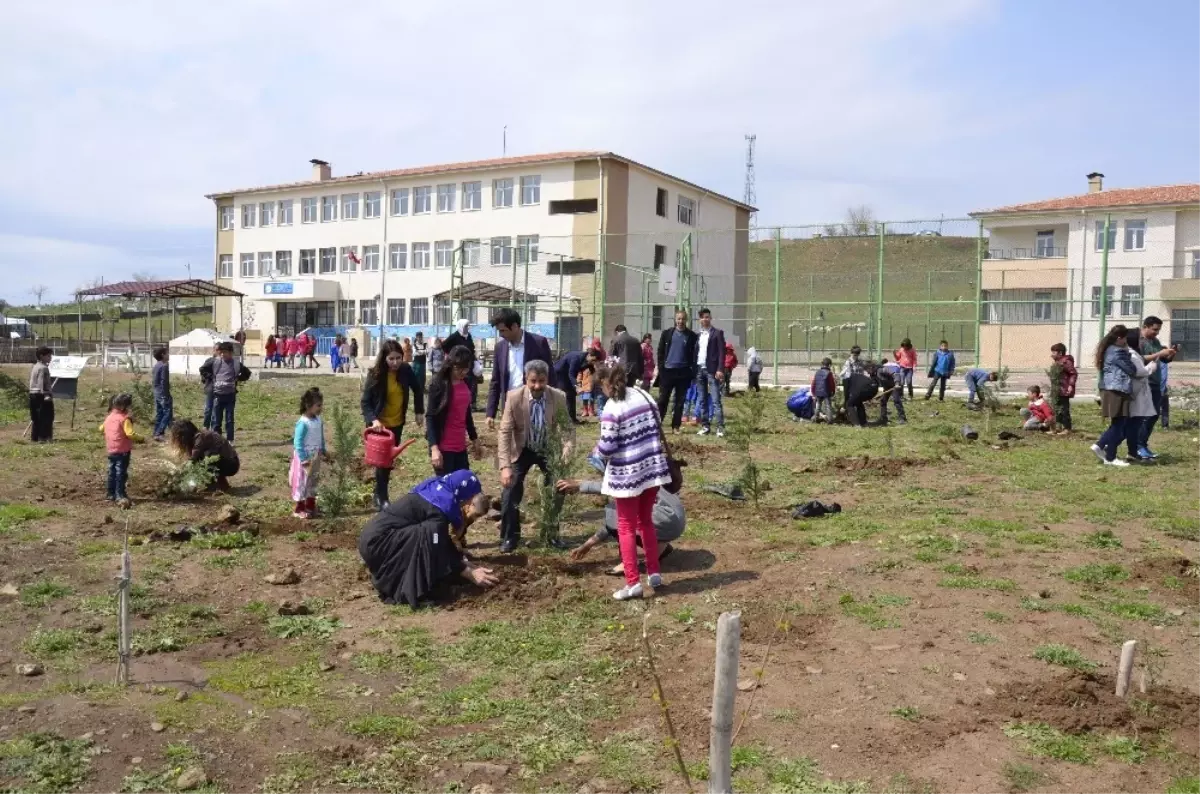 Engelli Öğrenciler Köy Okulunda Fidan Dikti