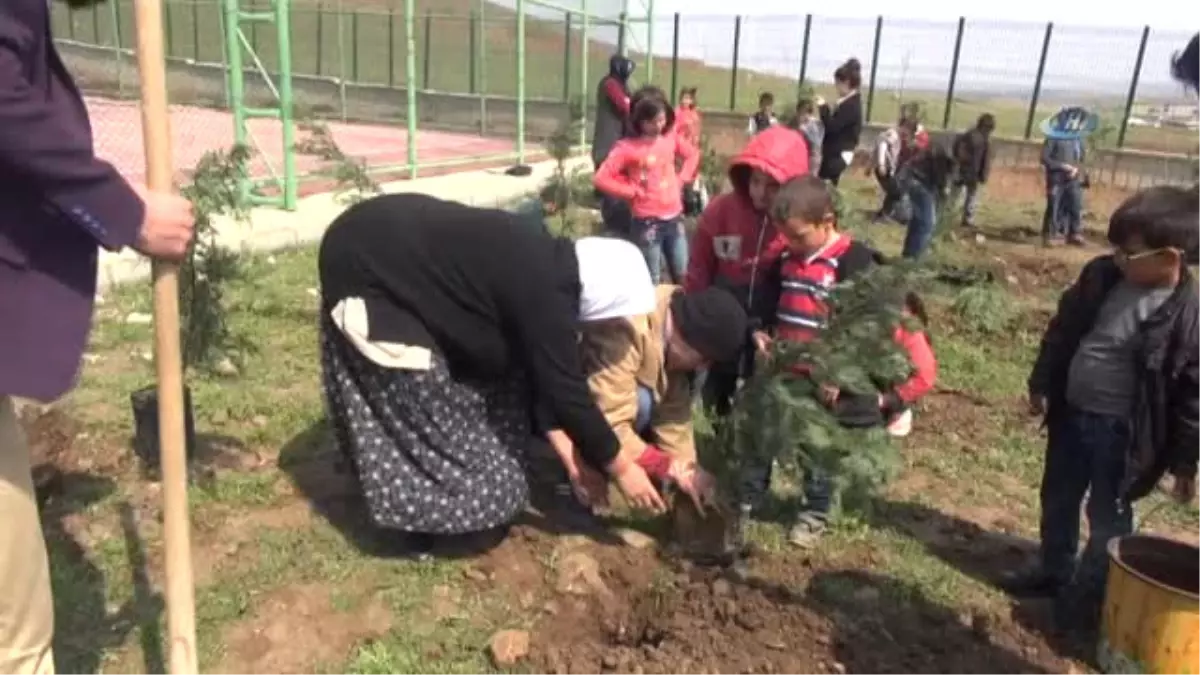 Engelli Öğrenciler Köy Okulunda Fidan Dikti