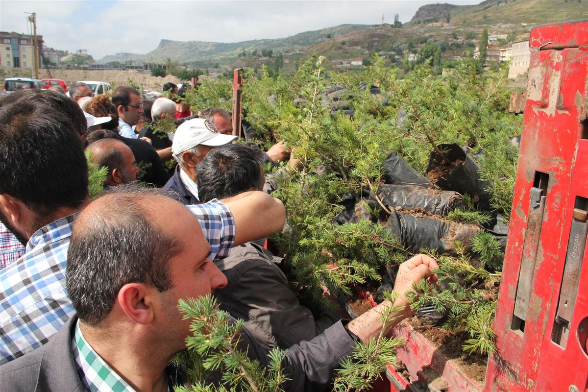 Nevşehir Belediyesi Yarın Vatandaşlara 30 Bin Fidan Dağıtacak