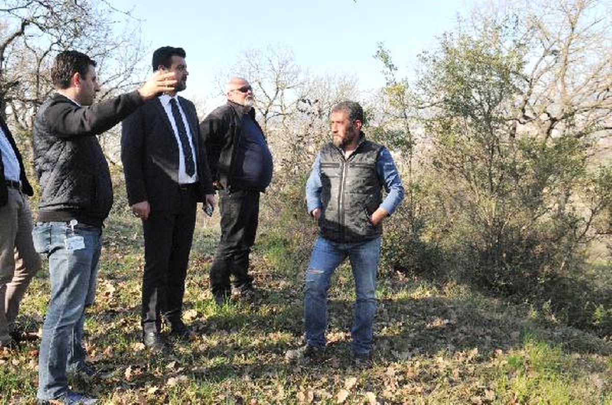 Trial Yarışları Nilüfer\'de Yapılacak
