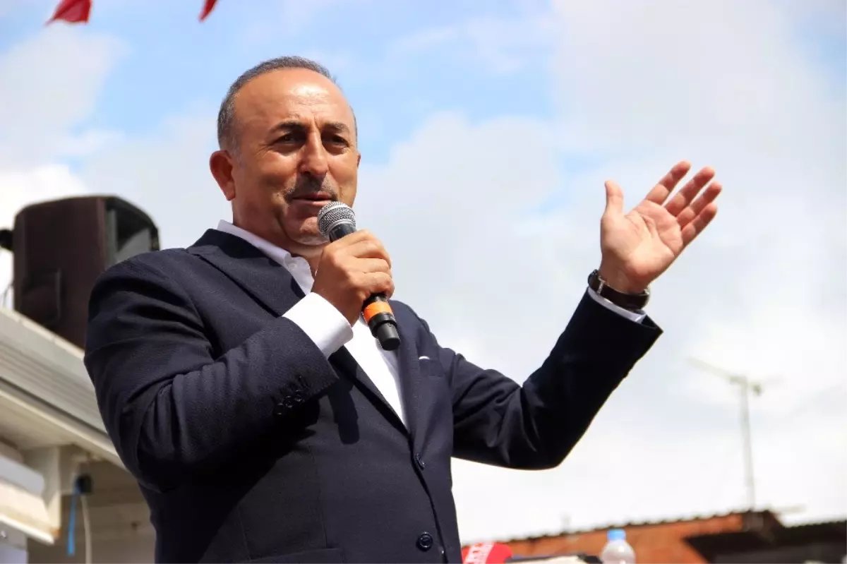 Bakan Çavuşoğlu: "Aç Tavuk Kendisini Buğday Ambarında Görür"