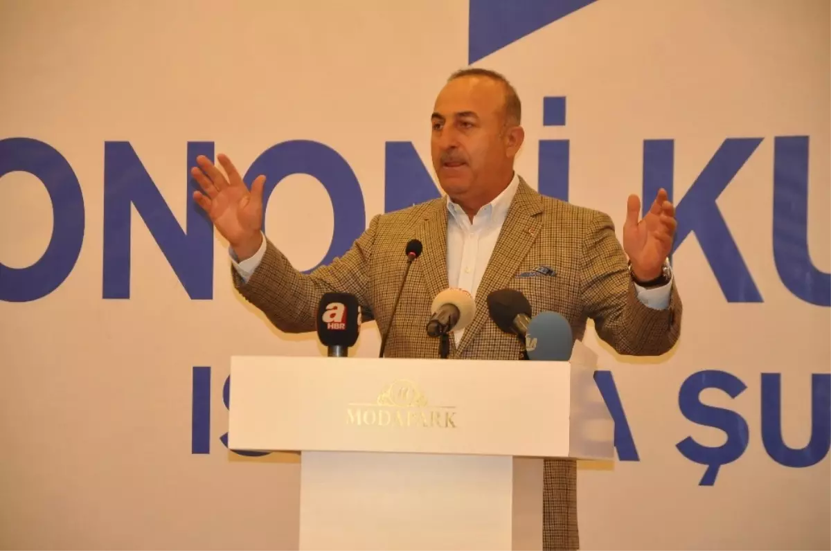 Dışişleri Bakanı Çavuşoğlu: (2)