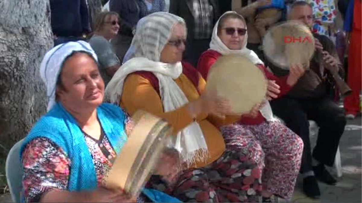 Fethiye\'de Kuzugöbeği Mantarı Festivali