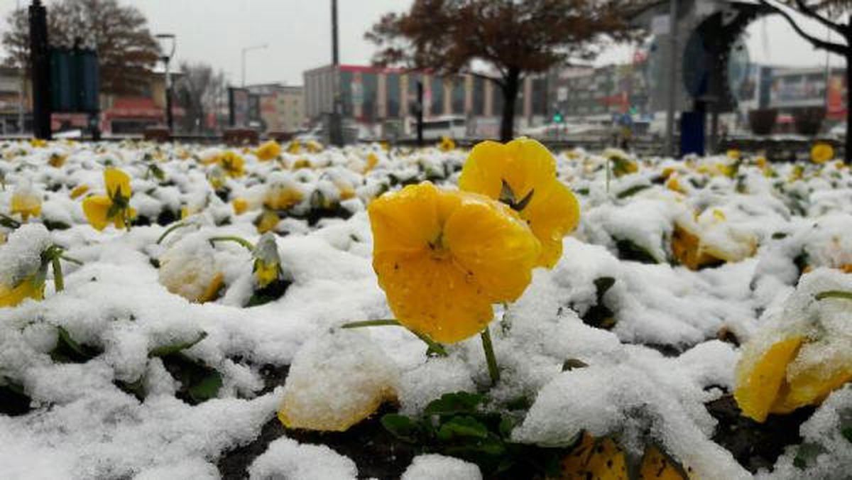 Erzincanlılar\'a Nisan\'da Kar Sürprizi