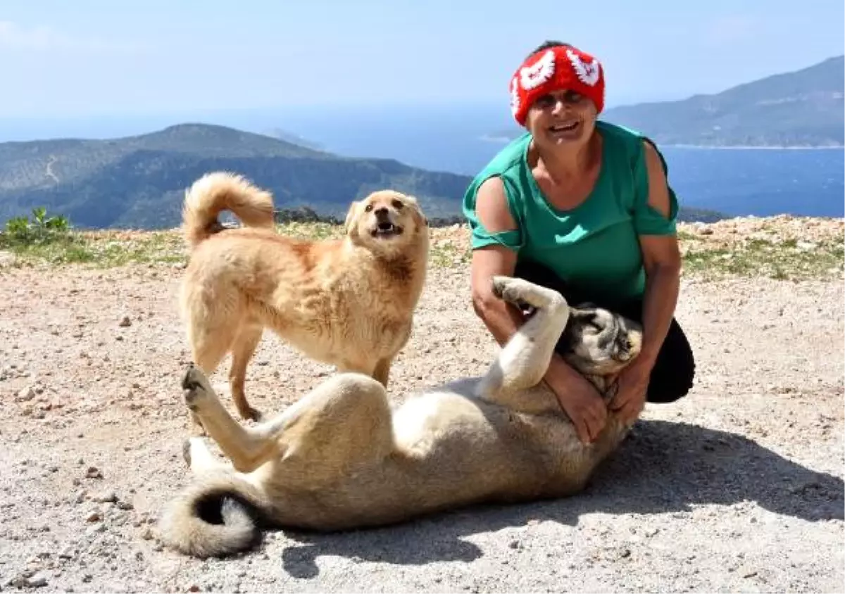 Hayatını Sokak Hayvanlarına Adadı