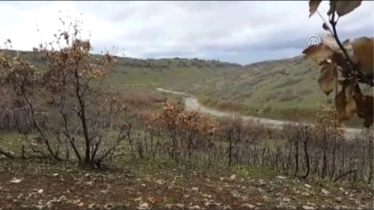 Teröristlerce Tuzaklanan Patlayıcı Vatandaş Ihbarıyla Bulundu