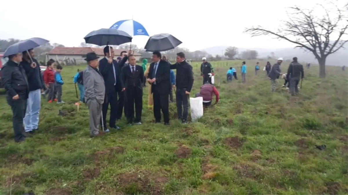 Balyalı Öğrenciler Şahitler Adına Ağaç Dikti