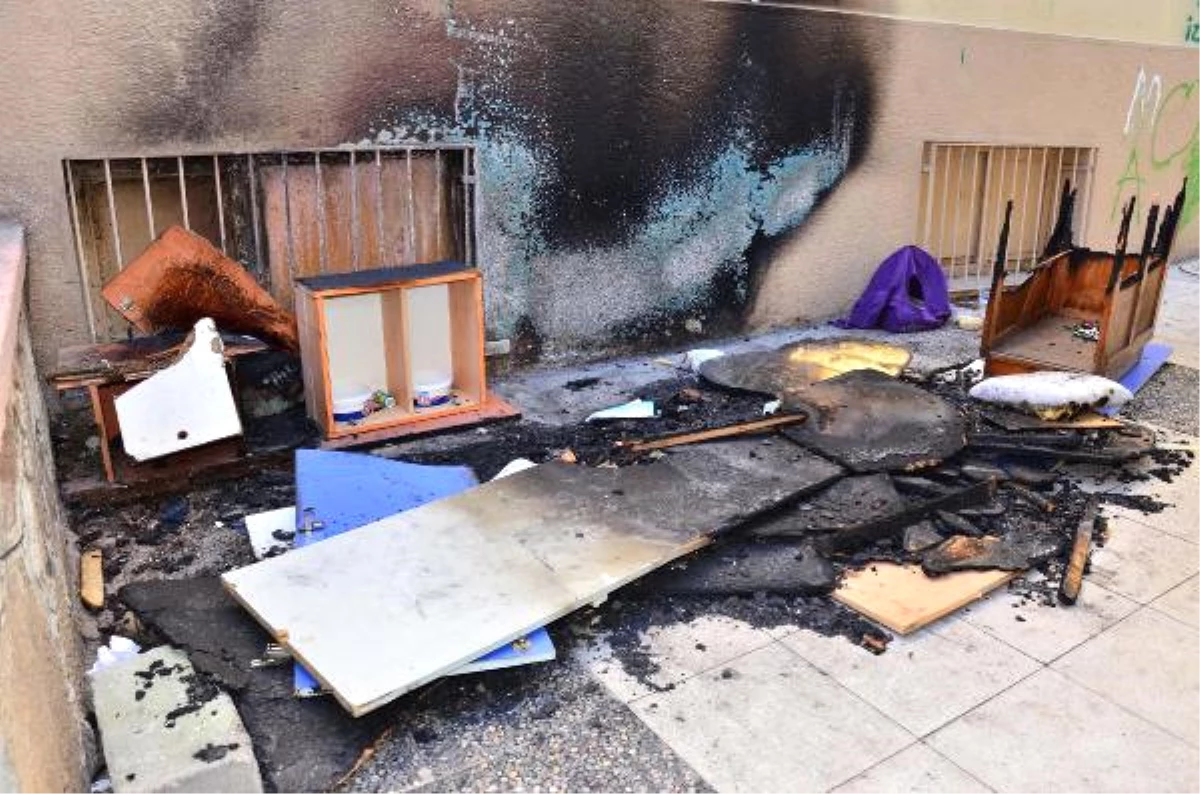 Manisa\'da Öğrencilerin Yaptığı Kedi ve Köpek Evleri Ateşe Verildi