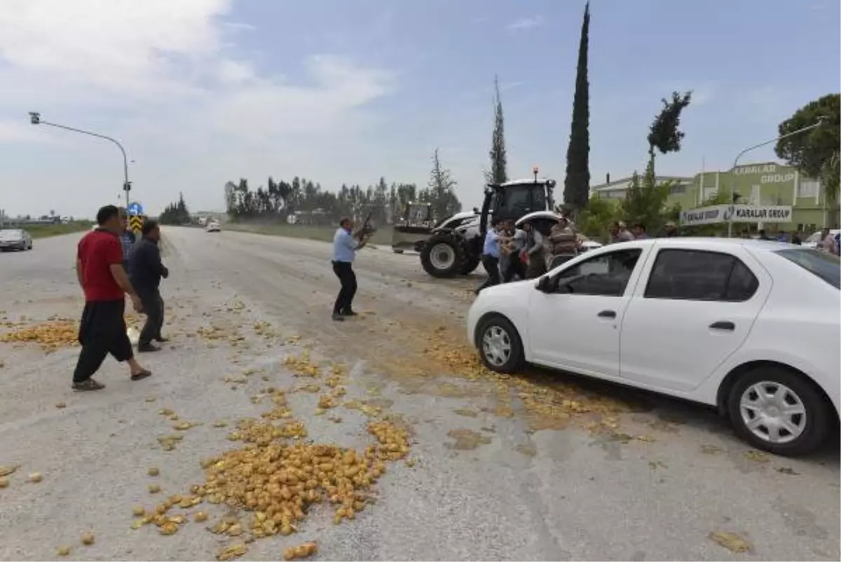 Patates Eylemi Yapan Çiftçiler Beraat Etti