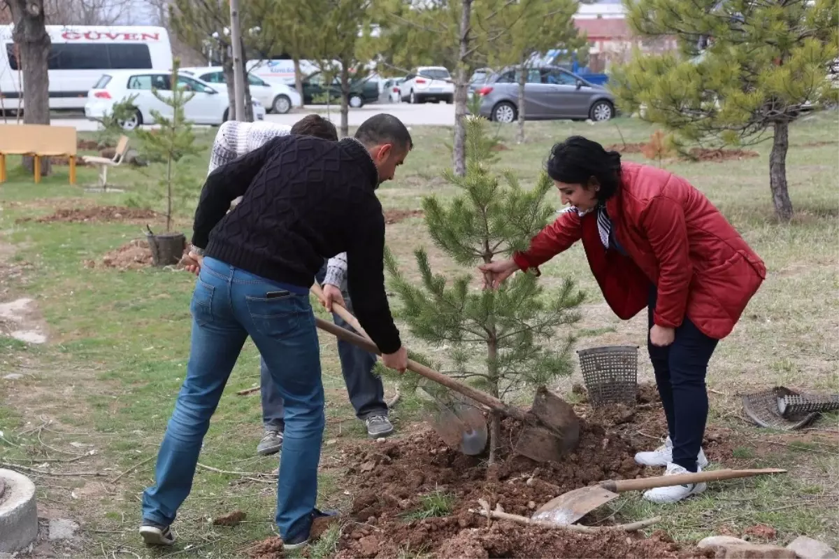 Sivas\'ta \'Epilepsi Farkındalığı Hatıra Ormanı\' Oluşturuldu