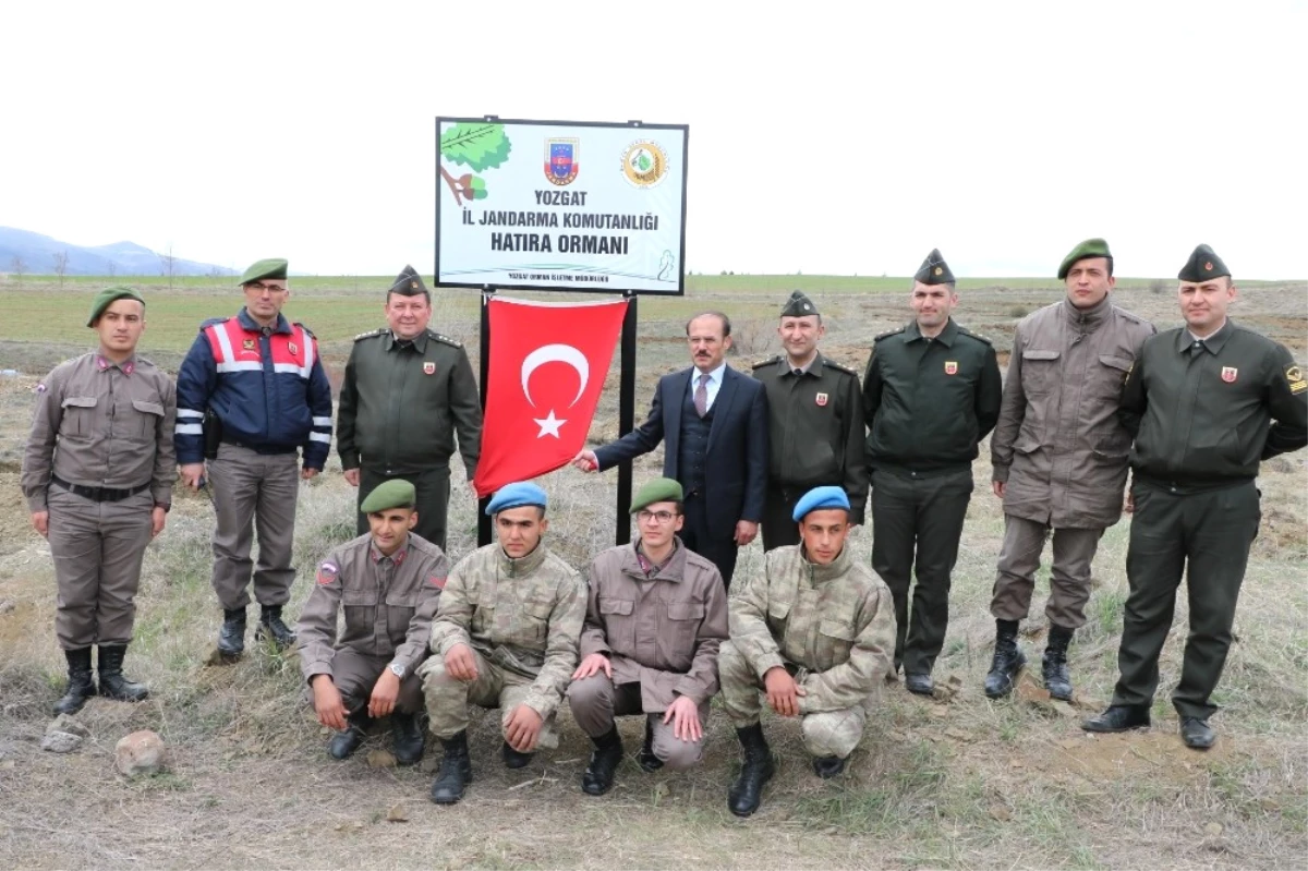 Yozgat\'ta Jandarma Ekipleri Hatıra Ormanı Oluşturdu