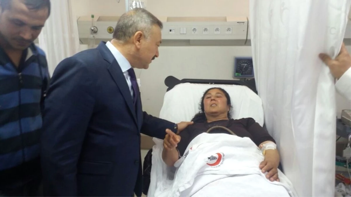AK Parti\'lilere Taşlı Saldırı: 5 Yaralı