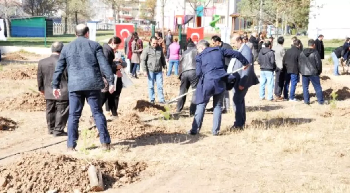 Demokrasi Şehitleri Anısına Hatıra Ormanı