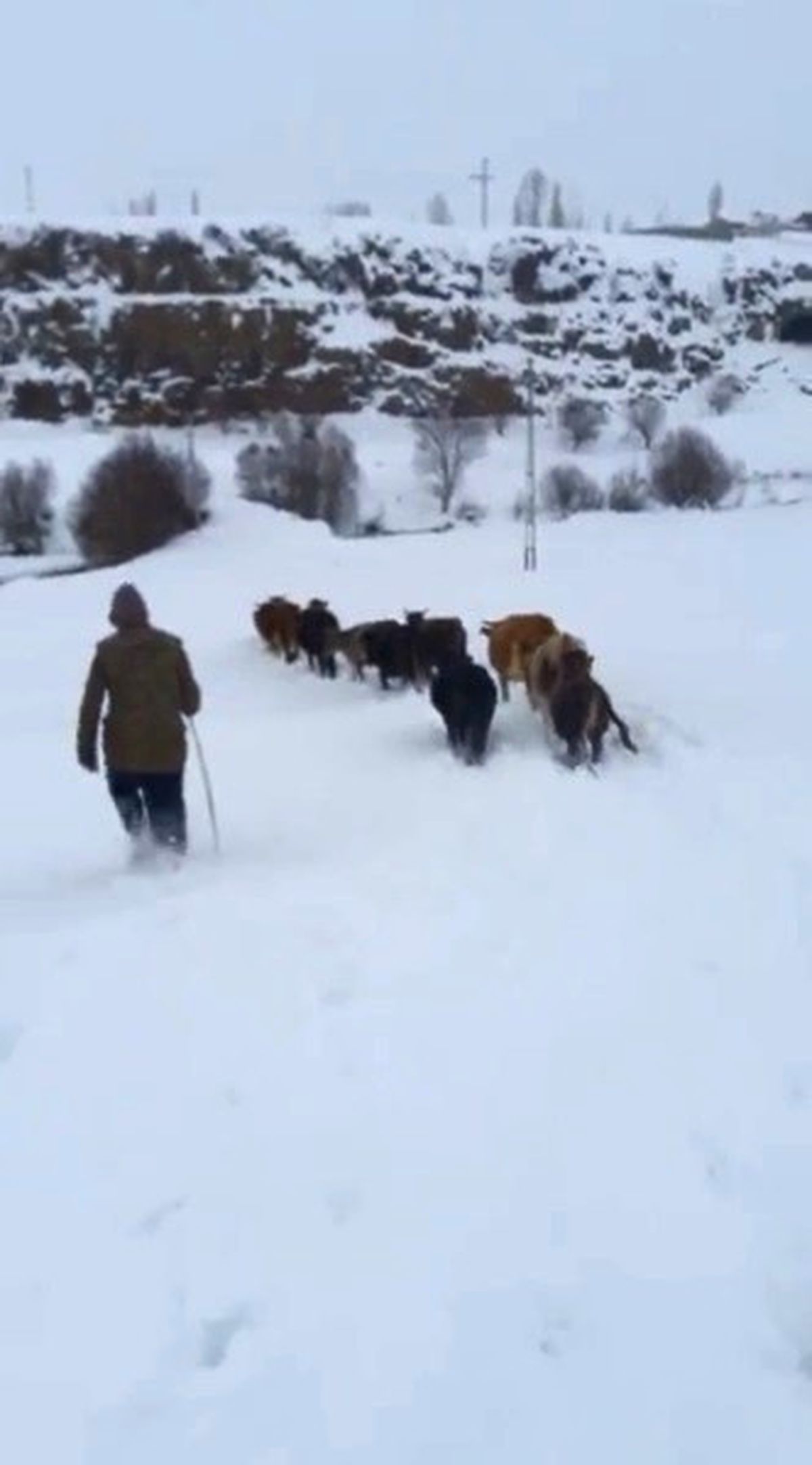 Erzurum\'da Nisan Ayında Kış Çilesi