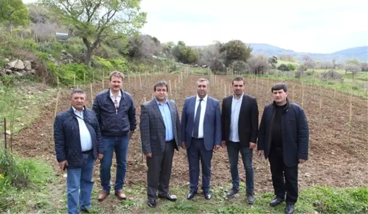 Gökçeada Arısının Islahı ve Korunması Toplantısı Düzenlendi