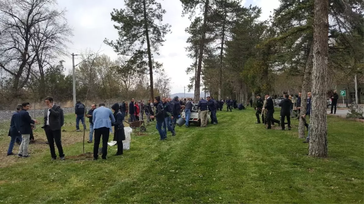 Kayseri ve Boğazlıyan Şeker Çalışanları Ağaçlandırma Yaptı