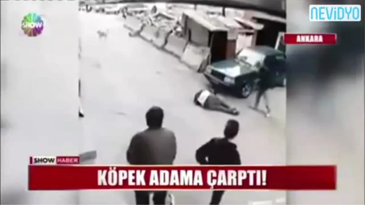 Köpeğin Çarptığı Adam Hastanelik Oldu