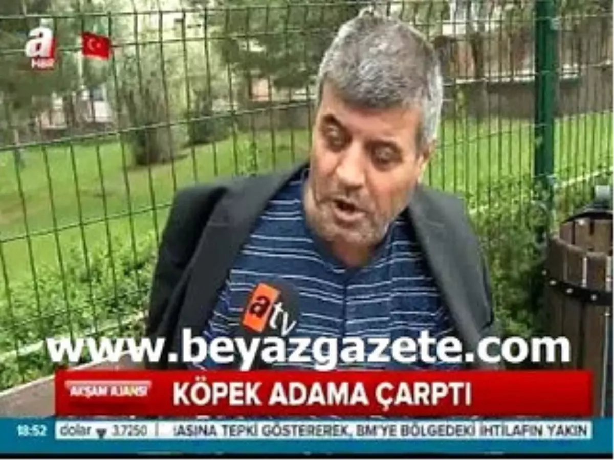 Yolda Yürürken Köpek Çarpan Adam O Anları Anlattı!