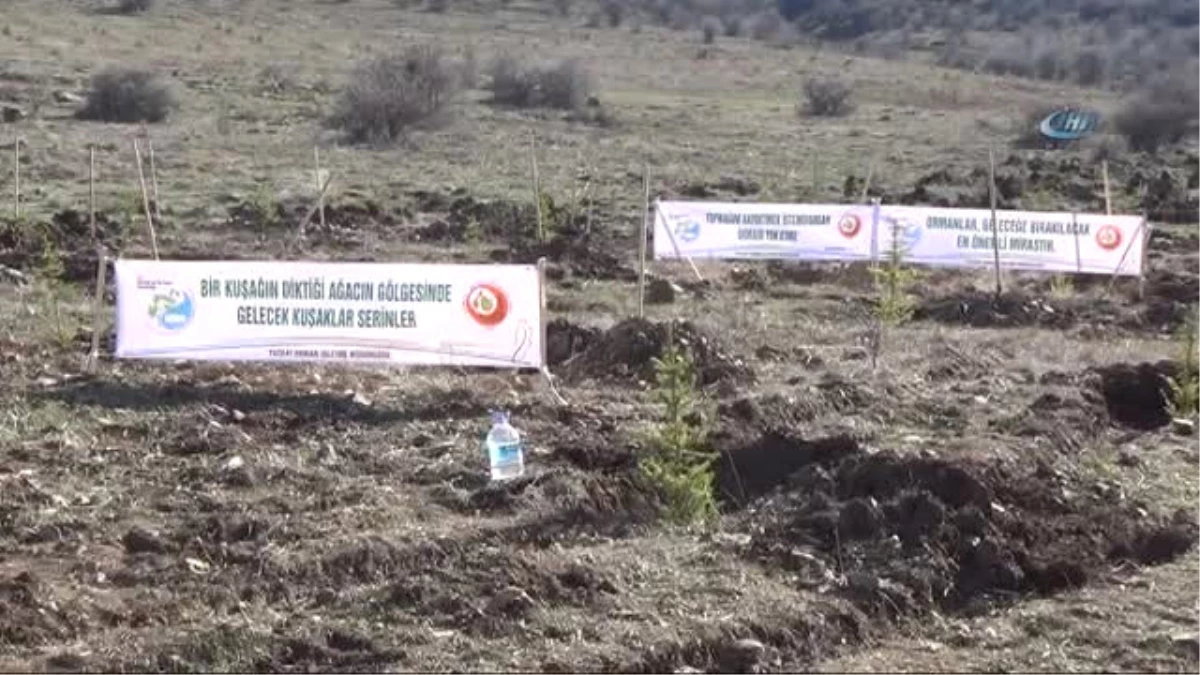 Yozgat\'ta 15 Temmuz Şehitleri Hatıra Ormanı\'na Fidan Dikildi