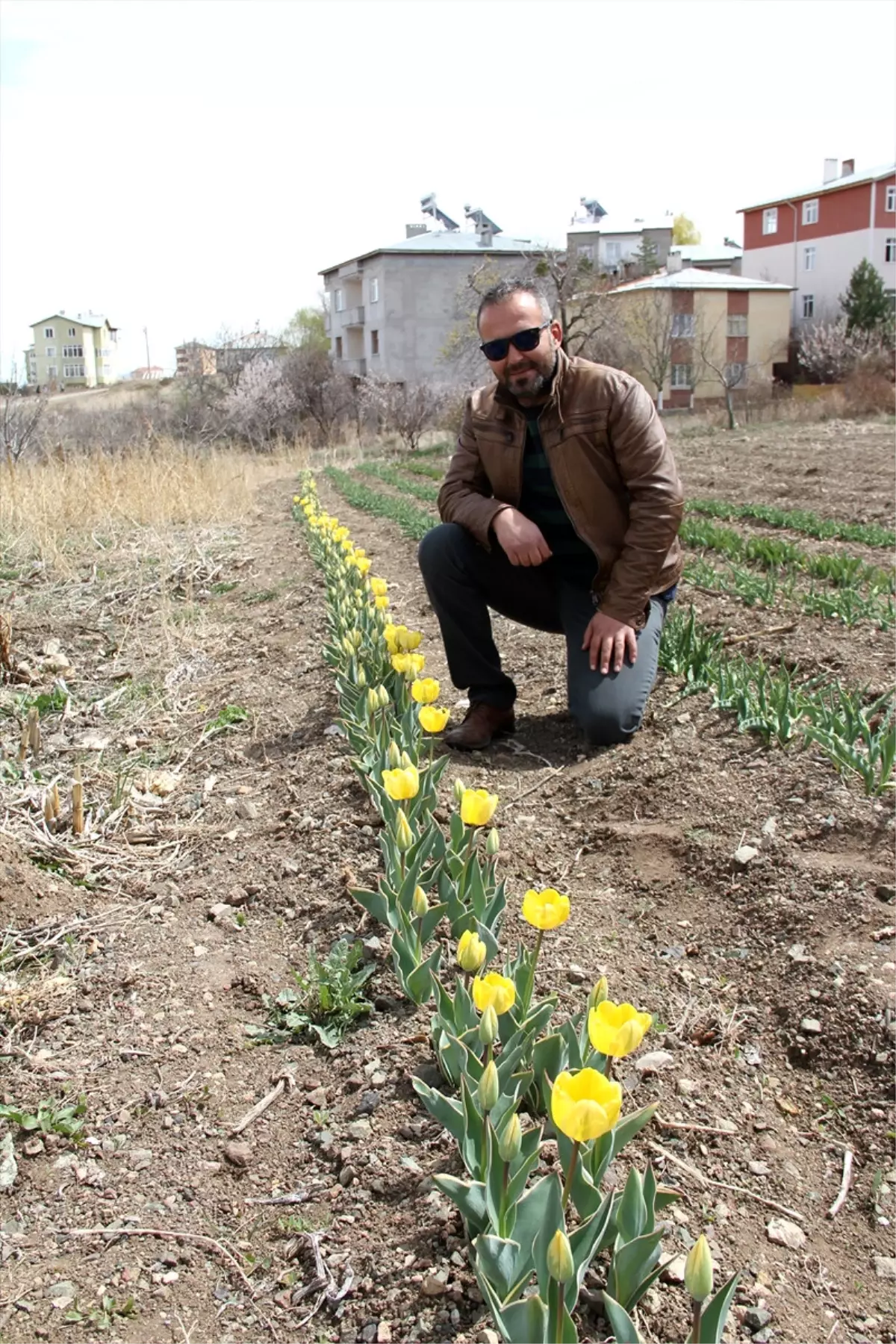 Deneme Amaçlı Lale Bahçesi Kurdu