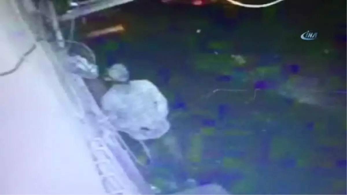 Dövmesinden Yakalanan Hırsızlık Zanlısı Kamerada