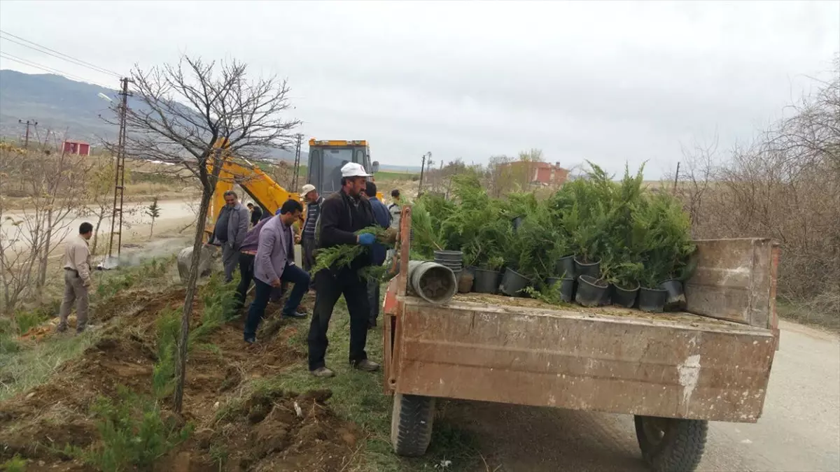 Karakeçili Belediyesi Yeşillendirme Çalışmaları