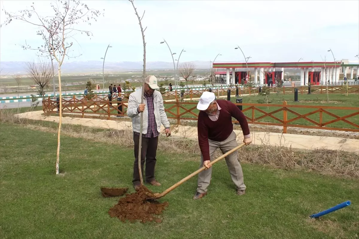 Mşü\'de Peyzaj Çalışması