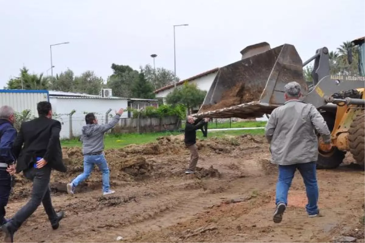 Çevreciler, Yol Yapımı İçin 300 Yıllık Zeytinlerin Sökülmesine Tepki Gösterdi