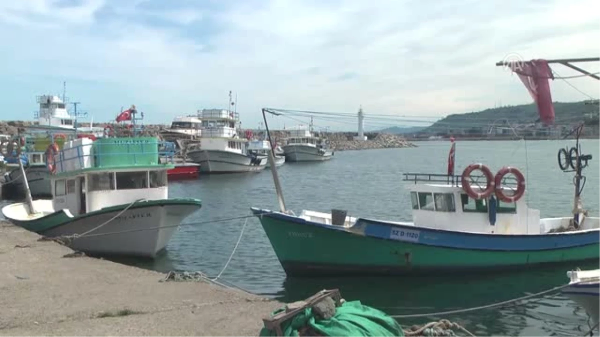 Karadenizli Balıkçılar Sezonu Buruk Kapatıyor