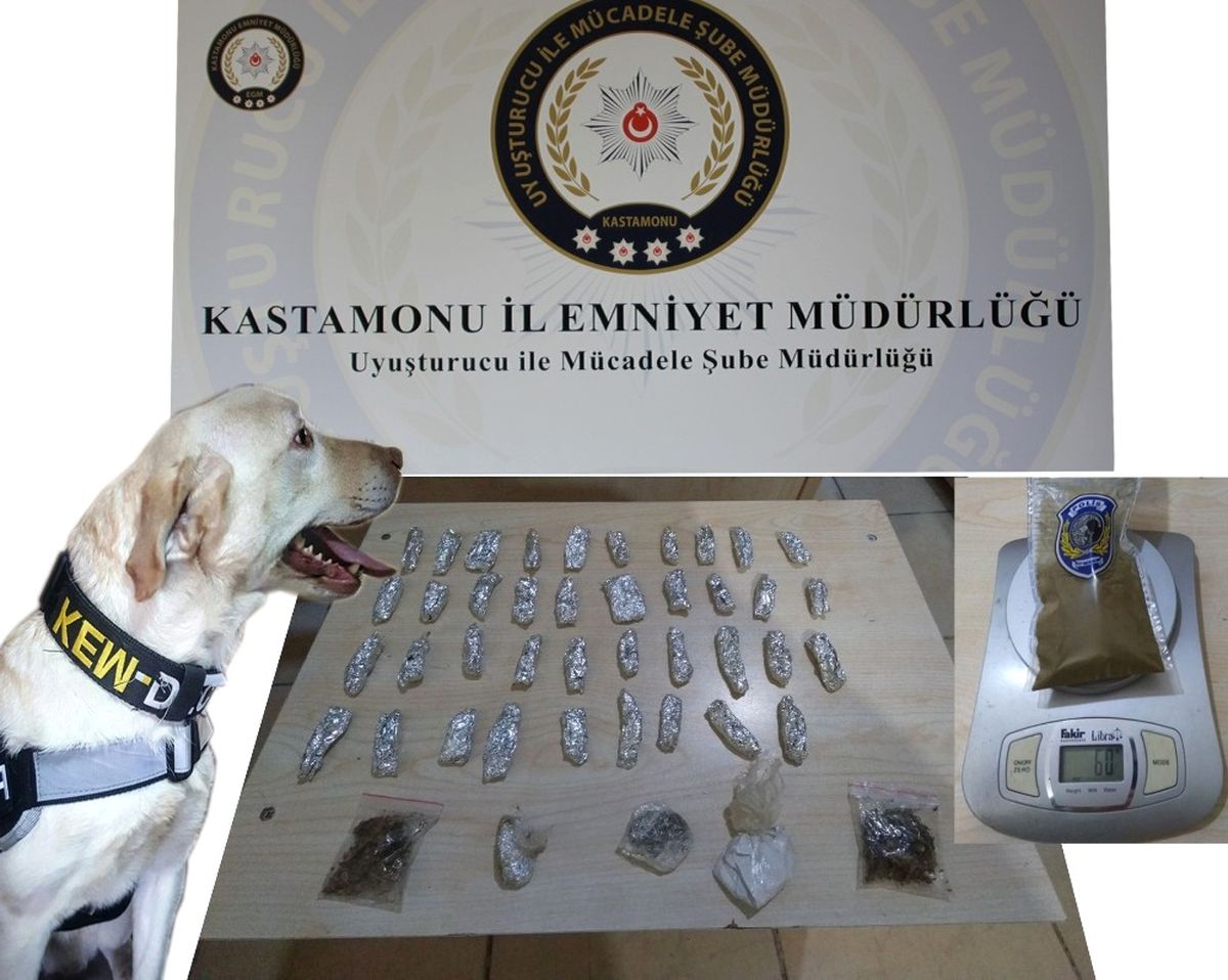 Kastamonu\'da Uyuşturucu Operasyonu